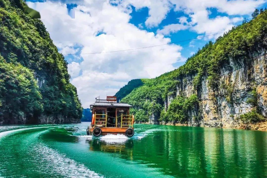 这4种鱼建议少吃,或许含有甲醛和重金属?建议转给家里人看看
